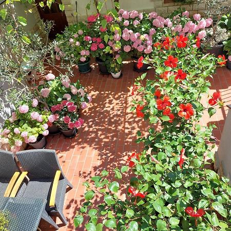 Apartment Eli Pag Town Zewnętrze zdjęcie