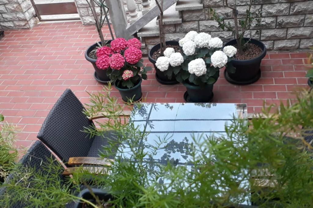 Apartment Eli Pag Town Zewnętrze zdjęcie