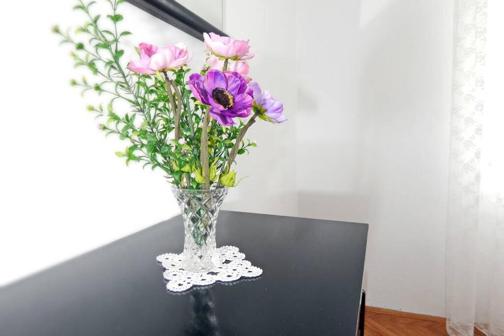 Apartment Eli Pag Town Zewnętrze zdjęcie