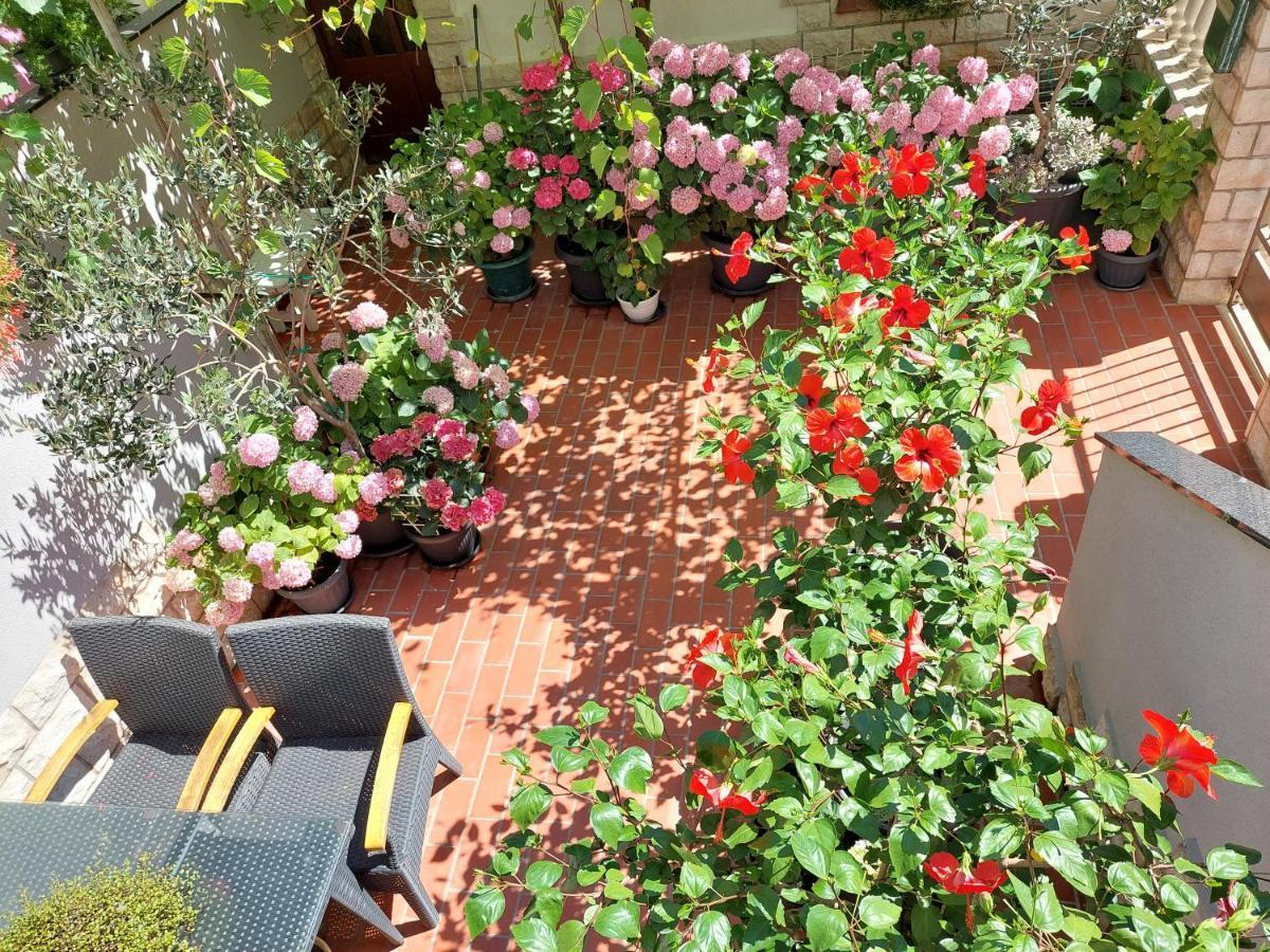 Apartment Eli Pag Town Zewnętrze zdjęcie