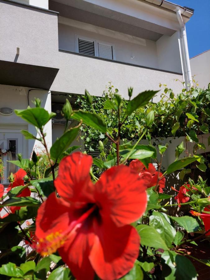 Apartment Eli Pag Town Zewnętrze zdjęcie